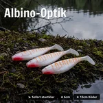 9090_auswahl4