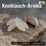 9185_auswahl4