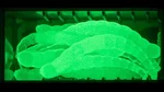 9187_auswahl5