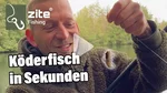 Fertigangel Set 0,5-2g 5 Stück Zite Fishing Video