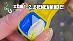 Zite Fishing Forellenteig Former 2in1 - Baitformer Zange für Forellenteig Video