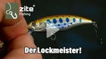 Forellenwobbler Set 5,2cm 4,5g Langsam Sinkend 5 STK in Köderbox Zite Fishing  Video