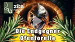Räucherlake Pure Tradition 500 g Räucherlauge Lake Forelle Aal & Mehr Zite Fishing Video