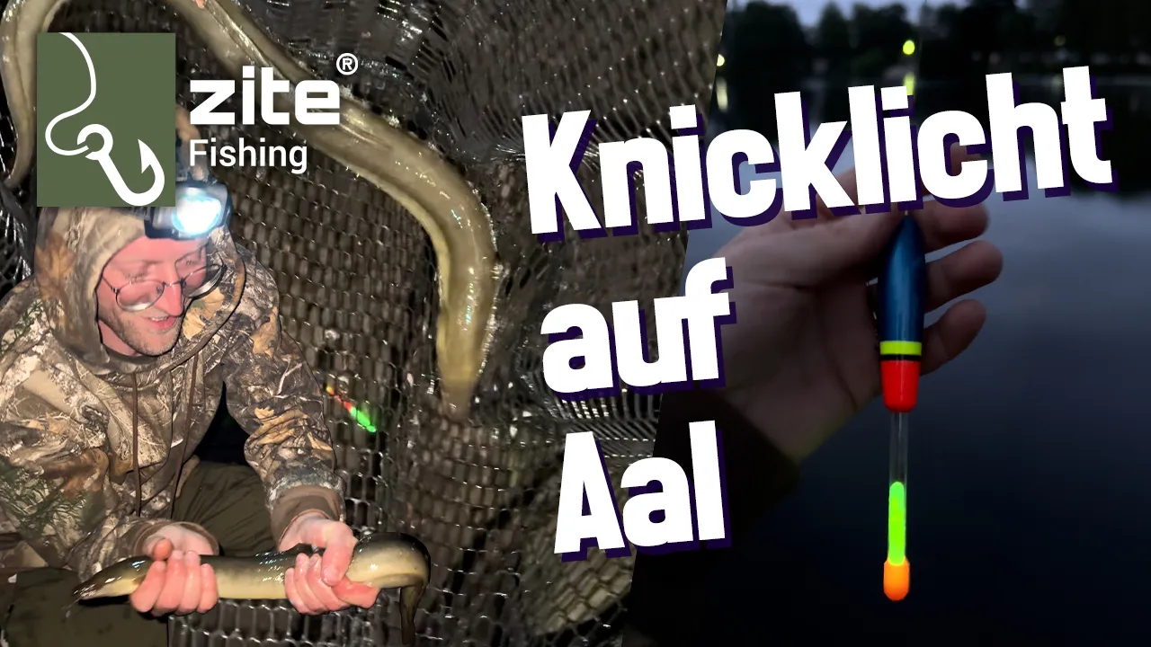 10x Knicklicht 2er Set – 20 Knicklichter Gelb & Grün mit Adapter für Nachtangeln Zite Fishing  Video