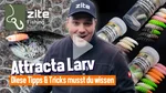 Attracta Larv Schock Mix Knoblauch Aroma Floating 3,5 cm 8 St. Larven Imitat Gummi Video