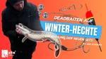 Deadbait Kristall-Hechtposen Sortiment - Raubfischposen mit Köderfisch System, Bleigewichte & mehr für das Hechtangeln Video