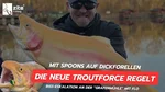 The Troutforce Spoon BAMF! 2,3 g – Shockscale – UV-aktiver Forellenblinker Zite Fishing Video