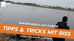 Zander Pro Komplettset - Inzite Pro Stick Zander, Spinnig Reel Pro 3000 bespult & GRATIS Zubehör  Video